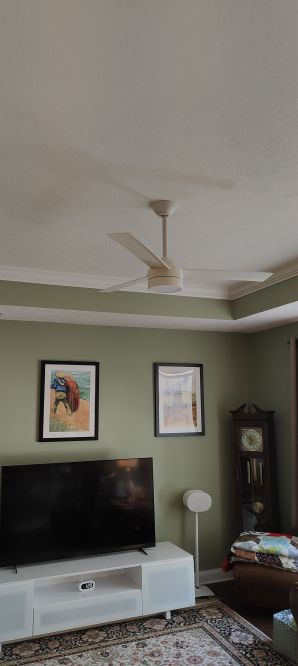 Ceiling Fan & Lighting Installation in Columbus, OH (4)